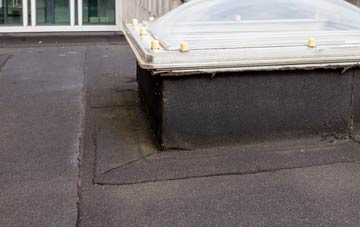 disadvantages of Tadmarton flat roofs