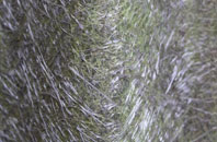 Tadmarton fibreglass roof work